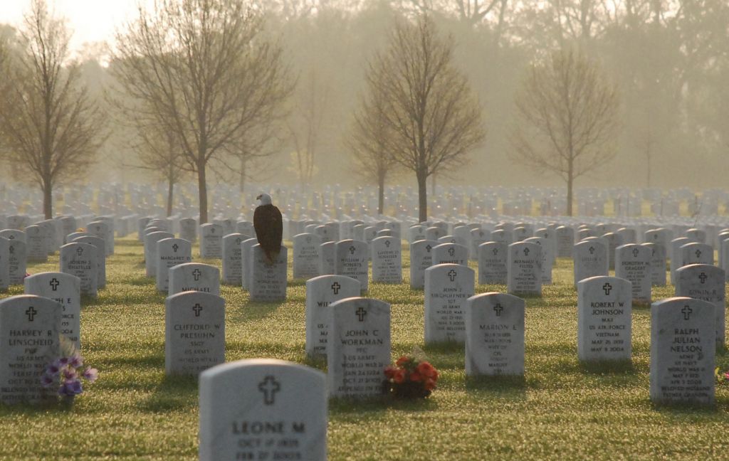 [Memorial Day]