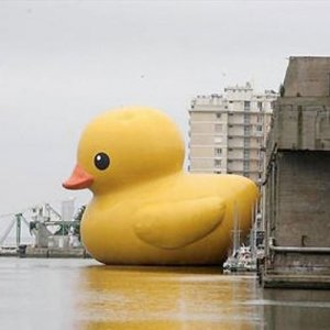 [Ginormous Yellow Duck]