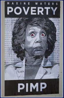 [Maxine Waters Poverty Pimp]