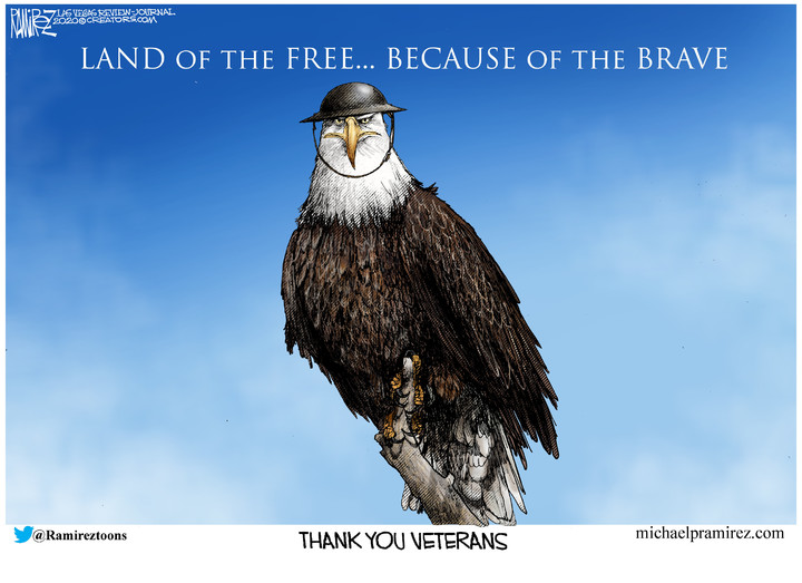 [Veterans Day 2020]