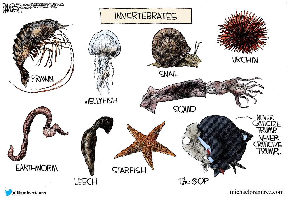 [Invertebrates of the world]